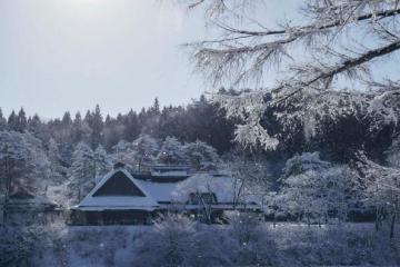 重启日本旅行！体验冬日豪雪和在地文化的不二之选