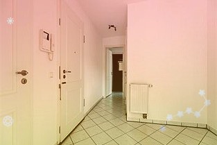 绿的谐波688017:持续推出新产品产能顺利扩张